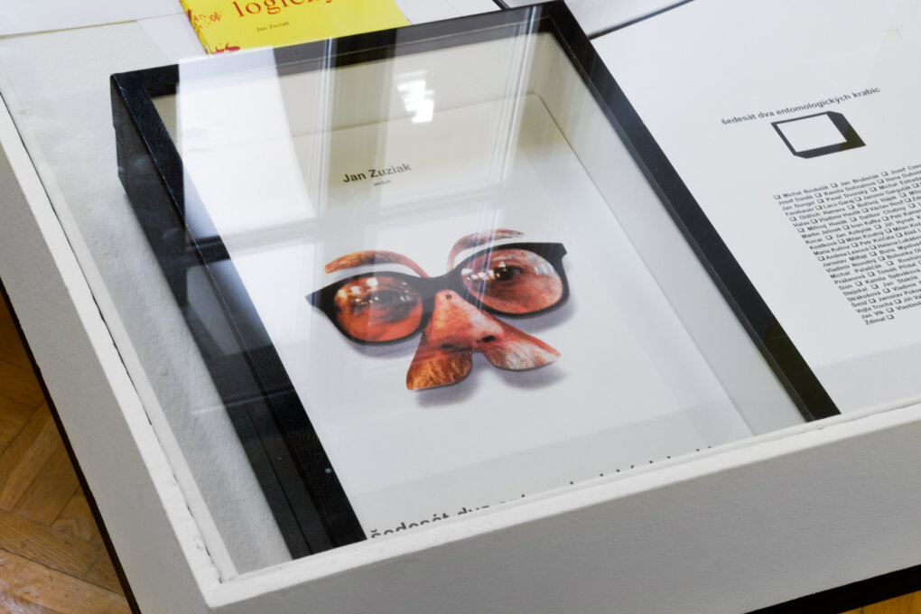 Jan Zuziak: An Outsiders's Insidership